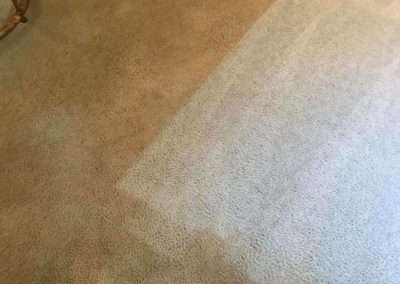 Steam Carpet Cleaning 9